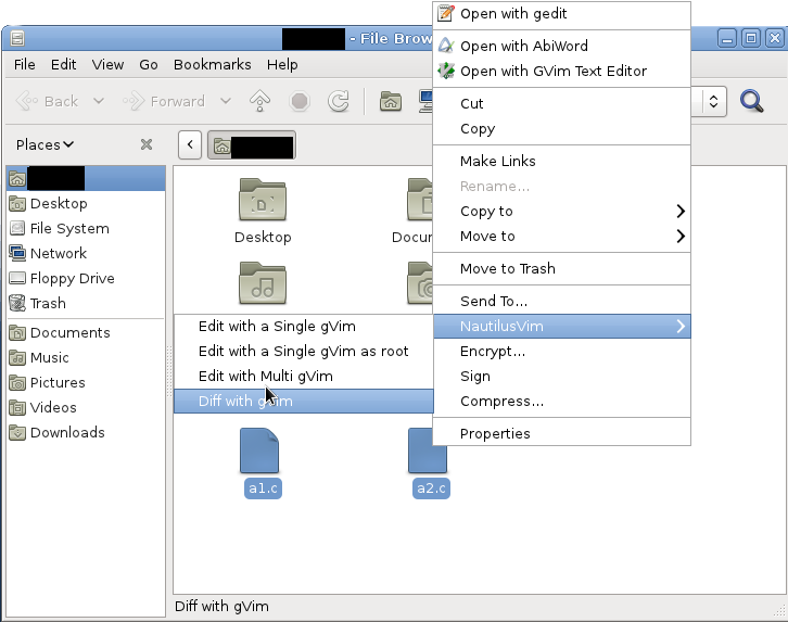 Screenshot of Multiple Files